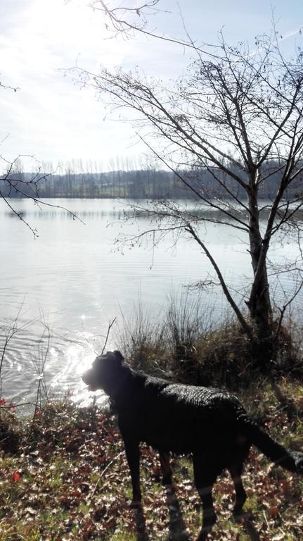 Gite Au Lac Du Gouyre Puygaillard-de-Quercy Eksteriør billede