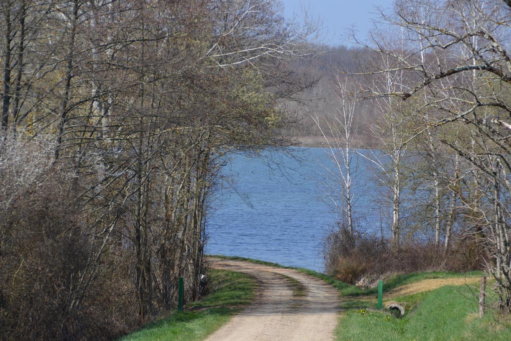 Gite Au Lac Du Gouyre Puygaillard-de-Quercy Eksteriør billede